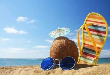 Nestinarka Complex - Emili تساريفو