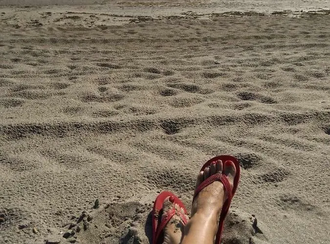 Nestinarka Complex - Emili شقة تساريفو