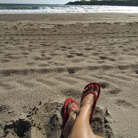 Nestinarka Complex - Emili Appartement Tsarévo